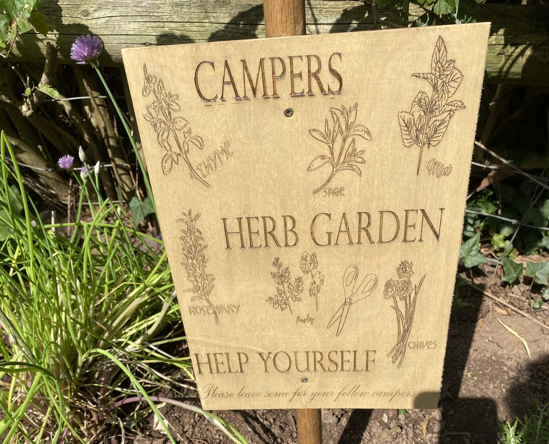 Campers herb garden for everyone to use