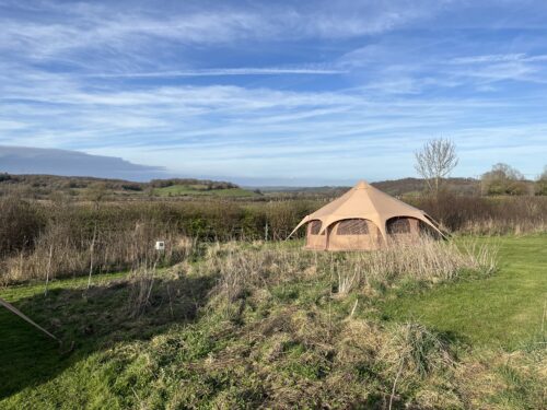 Star tent surrounded by tall grasses